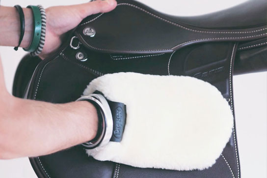 Lederpflege Sattel mit Essig reinigen