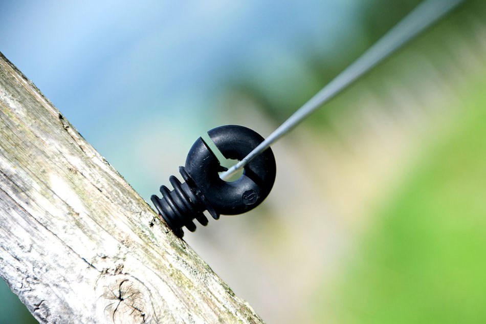 Die richtige Wahl der Isolatoren