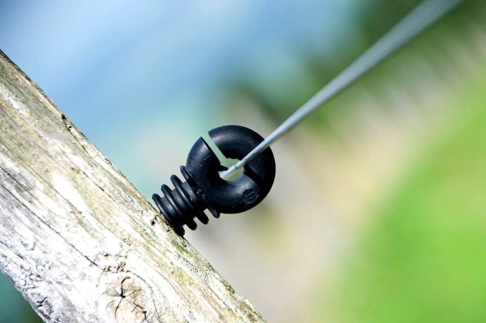 Weidezaun Isolator Tom Büttner