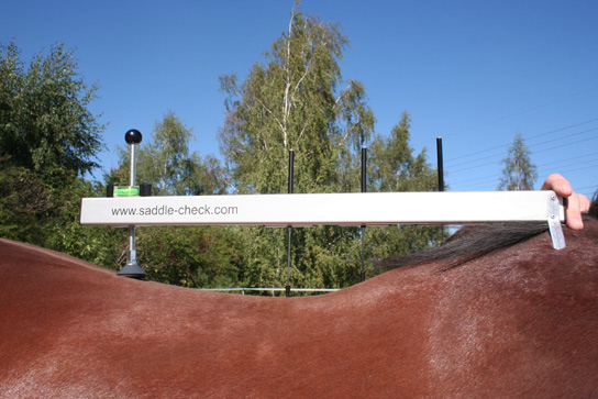 Saddle-Check-Messsystem