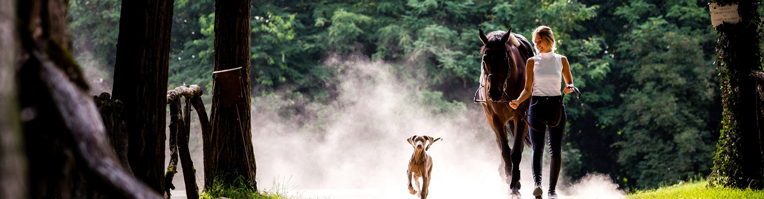 Engagement Titelbild 1 TEST