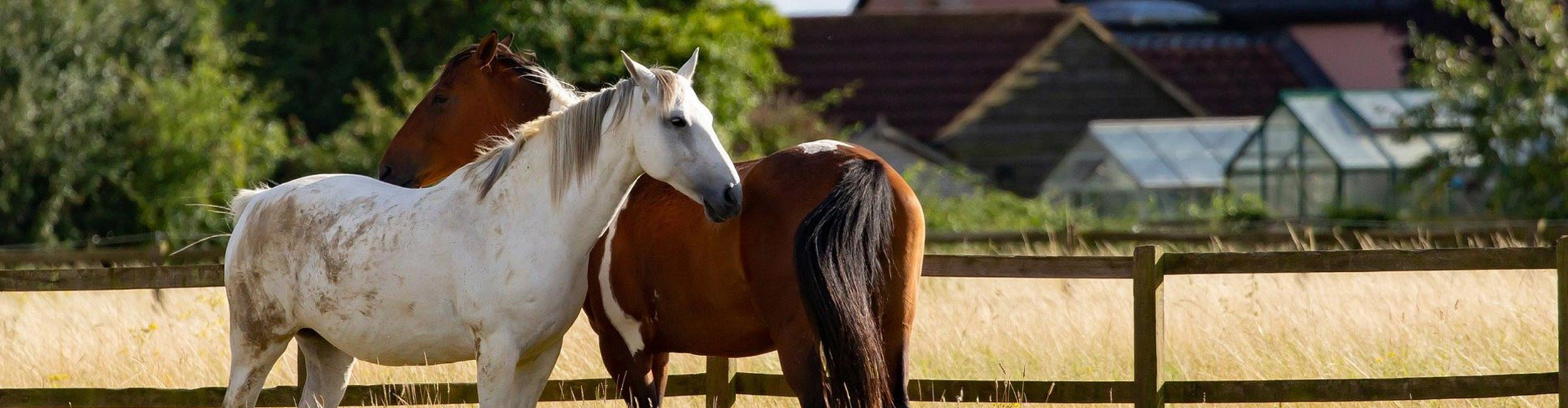 Titelbild Kontakt neu